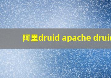 阿里druid apache druid